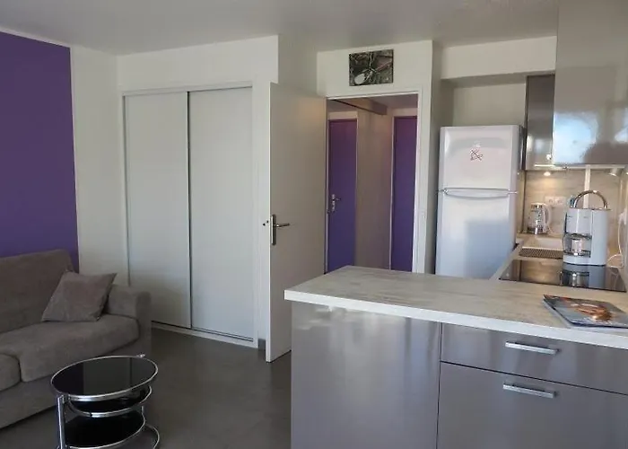 Agreable Et Spacieux Avec Terrasse Appartement Agde