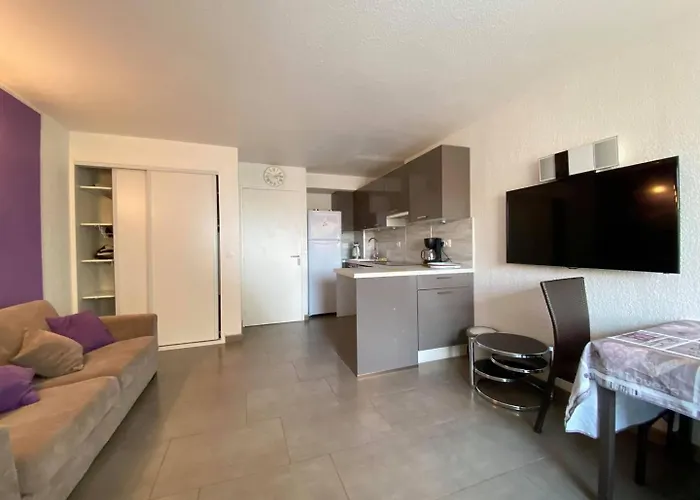 Agreable Et Spacieux Avec Terrasse Appartement Agde